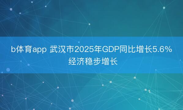 b体育app 武汉市2025年GDP同比增长5.6％ 经济稳步增长