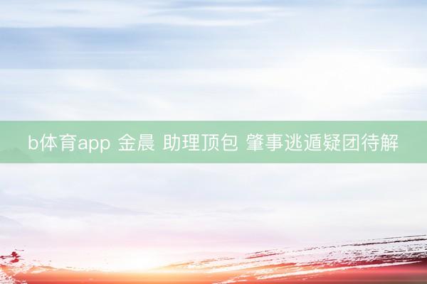 b体育app 金晨 助理顶包 肇事逃遁疑团待解