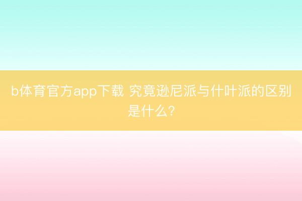 b体育官方app下载 究竟逊尼派与什叶派的区别是什么?