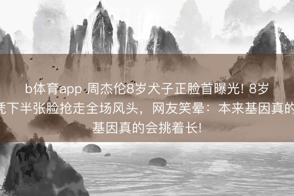 b体育app 周杰伦8岁犬子正脸首曝光! 8岁罗密欧仅凭下半张脸抢走全场风头，网友笑晕：本来基因真的会挑着长!