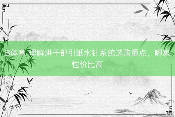 B体育 理解烘干部引纸水针系统选购重点，哪家性价比高