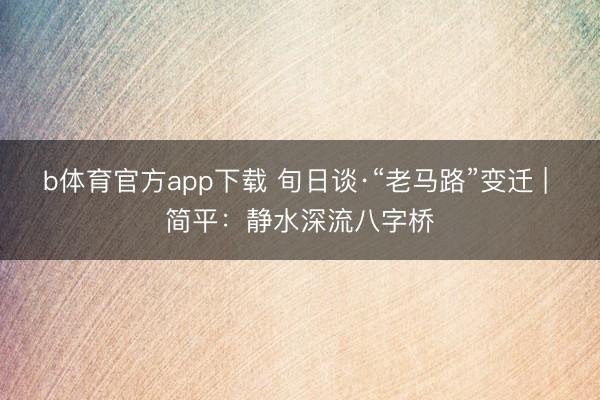 b体育官方app下载 旬日谈·“老马路”变迁 | 简平：静水深流八字桥