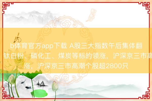 b体育官方app下载 A股三大指数午后集体翻红，可控核聚变、钛白粉、磷化工、煤炭等标的领涨，沪深京三市高潮个股超2800只