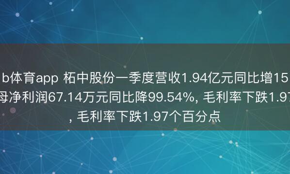 b体育app 柘中股份一季度营收1.94亿元同比增15.57%， 归母净利润67.14万元同比降99.54%， 毛利率下跌1.97个百分点
