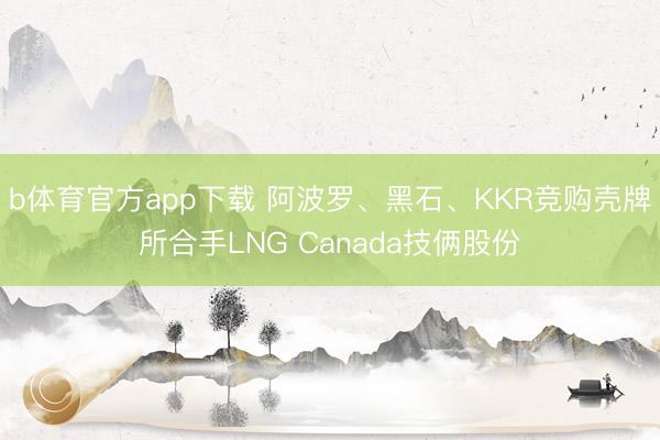 b体育官方app下载 阿波罗、黑石、KKR竞购壳牌所合手LNG Canada技俩股份