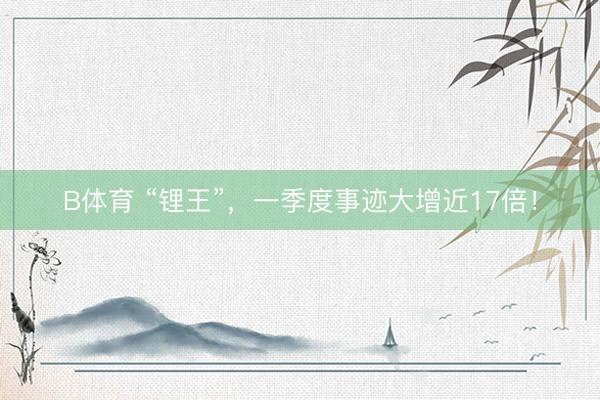 B体育 “锂王”，一季度事迹大增近17倍！